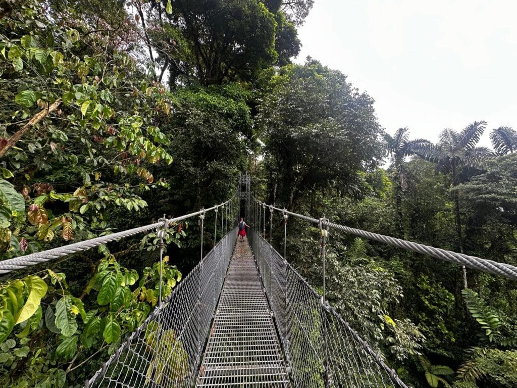 WhatsApp Image 2025-04-22 at 20.23.33_a5f5d182 Costa Rica travel - Monteverde, Puntarenas