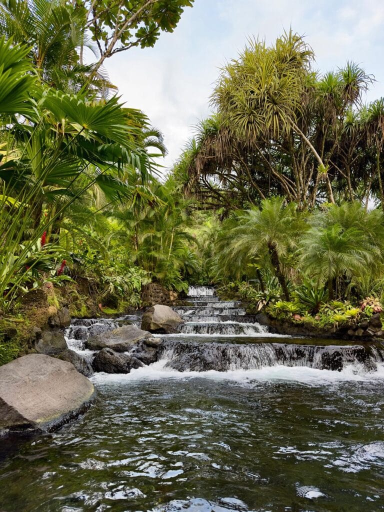 Natural pools at Tabacón Hot Springs