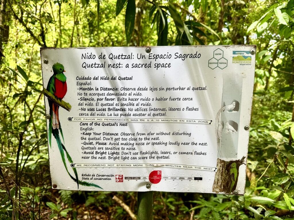 Sign of the Queztal nest in Monteverde Cloud Forest