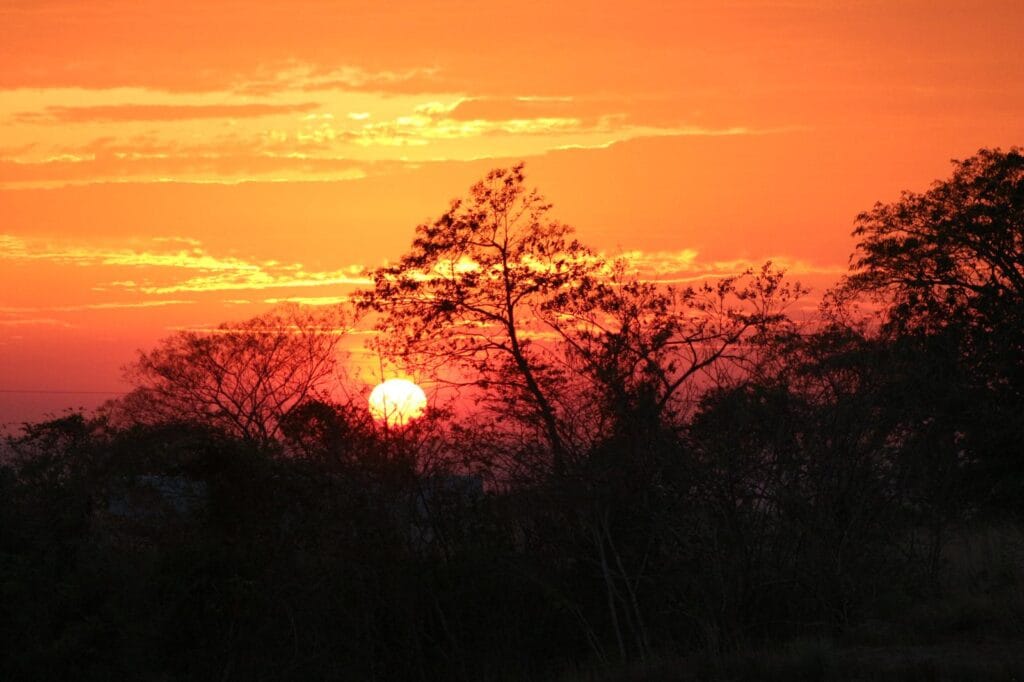 WhatsApp Image 2025-04-25 at 20.48.17_ced8ca25 Costa Rica travel - Marbella, Guanacaste